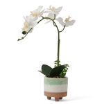 Matilda-Faux-White-Orchid-Plant