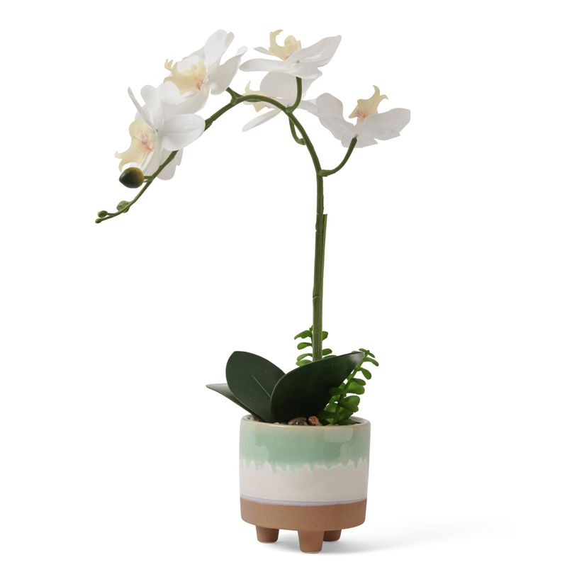 Matilda-Faux-White-Orchid-Plant
