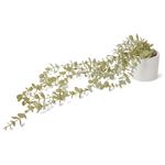 Blizzard-Eucalyptus-Potted-Faux-Plant