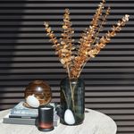 Amber-Eucalyptus-Single-Stem