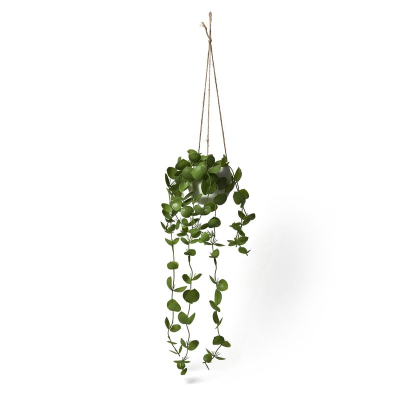Inky-Eucalyptus-Hanging-Basket