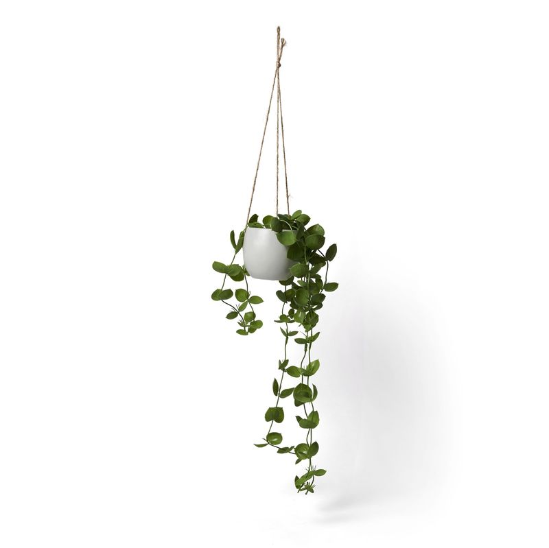 Inky-Eucalyptus-Hanging-Basket