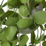 Inky-Eucalyptus-Hanging-Basket