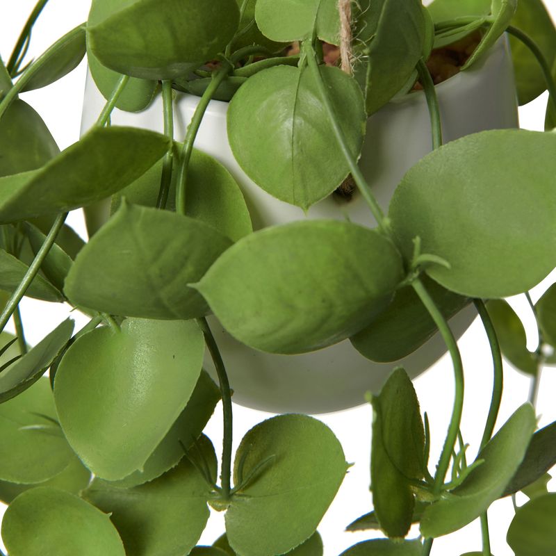 Inky-Eucalyptus-Hanging-Basket