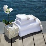 Essex-Embroidered-Hand-Towel