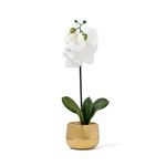 Faith-Single-Faux-Orchid